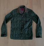 ZGAN: Scotch & Soda groene jas (46): herfstjas (Barbour), Ophalen of Verzenden, Zo goed als nieuw, Maat 46 (S) of kleiner, Scotch & Soda