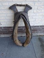 paardenhaam, Ophalen