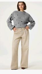 Fabienne Chapot Lidia pullover/ trui maat M *nieuw *, Fabienne Chapot, Ophalen of Verzenden, Nieuw, Maat 38/40 (M)