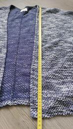 Pepe jeans vest xxs, Blauw, Ophalen of Verzenden, Maat 34 (XS) of kleiner, Gedragen