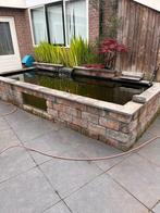 Complete koi vijver of alleen de vissen, Tuin en Terras, Vijvers, Ophalen, Gebruikt