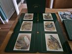 Jason Placemats - Vogelmotieven - Set van 6, Huis en Inrichting, Ophalen of Verzenden, Zo goed als nieuw, Overig