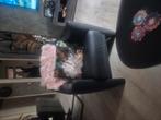 Leren fauteuil, Ophalen, Zo goed als nieuw, Minder dan 10 m², Laminaat