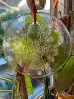 Vintage Zweeds Kosta Boda Raamhanger~Suncatcher~ Bloemenmand, Antiek en Kunst, Antiek | Glas en Kristal, Ophalen of Verzenden