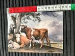 1882. Kunstkaart Paullus Potter de jonge Stier, Ophalen of Verzenden, Ongelopen
