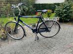 Giant Brisbane herenfiets maat XL (60cm), Fietsen en Brommers, 57 tot 61 cm, Ophalen of Verzenden, Zo goed als nieuw, Giant