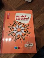 Rinze van der Lei - Muziek Meester!, Rinze van der Lei; Lieuwe Noordam; Frans Haverkort, Ophalen of Verzenden, Zo goed als nieuw