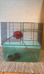 Hamster muizen kooi, Dieren en Toebehoren, Kooi, Minder dan 75 cm, Minder dan 60 cm, Ophalen of Verzenden