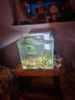 aquarium, Dieren en Toebehoren, Vissen | Aquaria en Toebehoren, Ophalen, Zo goed als nieuw, Leeg aquarium