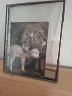 Fotolijst 25x20 oud look, Ophalen of Verzenden, Zo goed als nieuw
