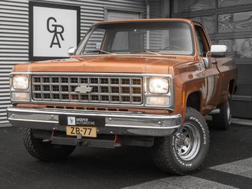 Chevrolet Pick Up | Origineel Nederlands (bj 1981) beschikbaar voor biedingen