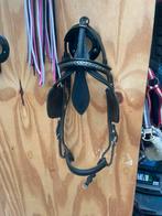 Menhoofdstel shetlander, Dieren en Toebehoren, Paarden en Pony's | Hoofdstellen en Tuigage, Ophalen of Verzenden, Overige soorten