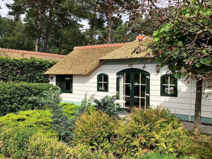 Vakantiehuis, Veluwe, Vierhouten, Vakantie, Vakantiehuizen | Nederland, Gelderland en Veluwe, Chalet, Bungalow of Caravan, Recreatiepark