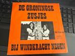 De Groningse Zusjes - Bij windkracht negen - Piraten topper, Cd's en Dvd's, Vinyl | Nederlandstalig, Ophalen of Verzenden, Gebruikt