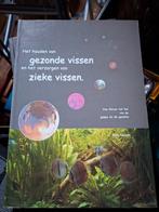 Vissen infoboek, Goudvis(sen)