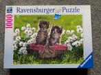 Puzzel katten Ravensburger 1000 Stukjes 70 X 50 cm, Hobby en Vrije tijd, Ophalen of Verzenden, 500 t/m 1500 stukjes, Legpuzzel
