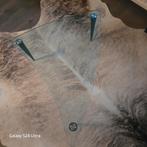 Tonelli lobacevskij design salon/ bijzettafel, 50 tot 100 cm, Modern, Minder dan 50 cm, Ovaal