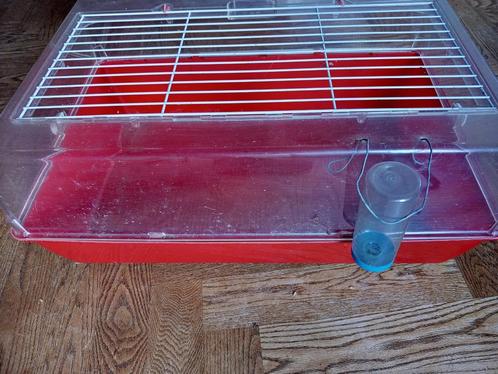 Ferplast Hamster/Muizenkooi Duna Multy Dierenverblijf 71x46x, Dieren en Toebehoren, Knaagdieren en Konijnen | Hokken en Kooien