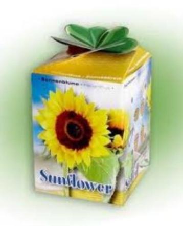 Green Gifts Zonnebloemzaden beschikbaar voor biedingen