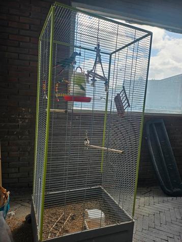 2 prachtige vogels evt met kooi pyrrhura pyrura pyrhura  beschikbaar voor biedingen