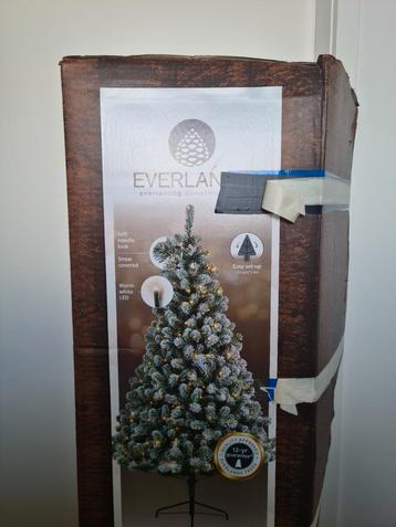 Everland Kerstboom beschikbaar voor biedingen
