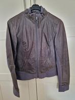 Arma leren jasje maat 38 / M, Maat 38/40 (M), Blauw, Arma, Ophalen of Verzenden