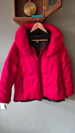 Gaastra zgan rode warme winterjas mt 3XL, Gaastra, Maat 46/48 (XL) of groter, Ophalen of Verzenden, Zo goed als nieuw