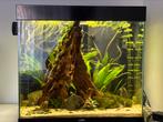 Aquarium ciano, Dieren en Toebehoren, Vissen | Aquaria en Toebehoren, Ophalen, Gebruikt, Gevuld zoetwateraquarium