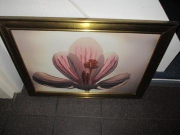 Groot klassiek schilderij in zware gouden lijst beschikbaar voor biedingen