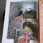 Boekjes over Cactussen en vetplanten, Ophalen of Verzenden, Zo goed als nieuw