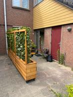 Plantenbakken op maat gemaakt met kant en klaar hedera, Ophalen of Verzenden, Nieuw, Rechthoekig, Hout