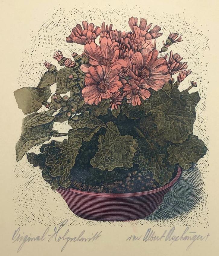 Mooie en betaalbare kunst v/h Grafiekkabinet, Antiek en Kunst, Kunst | Etsen en Gravures, Ophalen of Verzenden