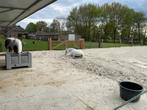 paarden paddock, voerplaats, beton platen, droge voerplek, Verzenden, Nieuw, Beton, Overige typen