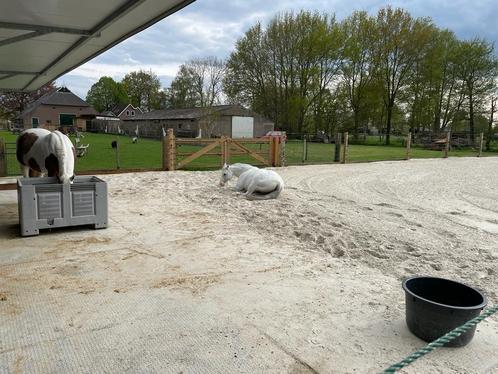 paarden paddock, voerplaats, beton platen, droge voerplek, Tuin en Terras, Tegels en Klinkers, Nieuw, Overige typen, Beton, Verzenden