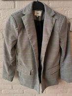 Leuke set: jasje en broek, Kleding | Dames, Jasjes, Kostuums en Pakken, Overige kleuren, Ophalen of Verzenden, Zo goed als nieuw