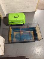 Knaagdierkooi + Draagkooi, Kooi, Cavia, Ophalen, Minder dan 60 cm