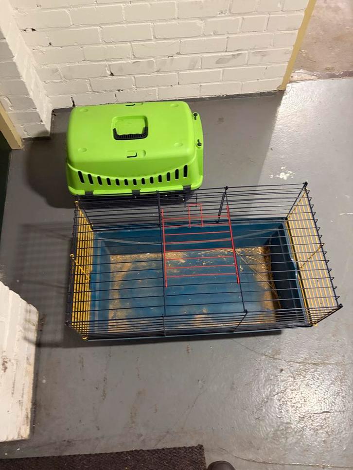 Knaagdierkooi + Draagkooi, Dieren en Toebehoren, Knaagdieren en Konijnen | Hokken en Kooien, Gebruikt, Kooi, Minder dan 60 cm