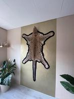 Antiek Luipaardvel 1928 - Prachtig Decoratiestuk taxidermy, Ophalen