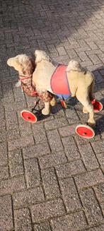 Vintage Kameel uit de Jaren '50, Ophalen of Verzenden