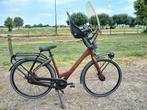 NIEUWE CORTINA COMMON FAMILY -  2025 - NIEUW !, Fietsen en Brommers, Fietsen | Dames | Damesfietsen, 50 tot 53 cm, Ophalen, Overige merken