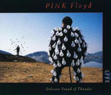 2CD: Pink Floyd – Delicate Sound Of Thunder (ZGAN) beschikbaar voor biedingen