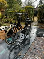 Batavus ebike 2022 LEES BESCHR.!!, Fietsen en Brommers, Ophalen, Batavus, Zo goed als nieuw, 59 cm of meer