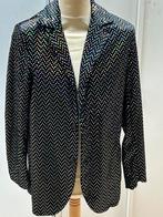 Glitterjasje, Kleding | Dames, Carnavalskleding en Feestkleding, Ophalen of Verzenden, Zo goed als nieuw, Carnaval