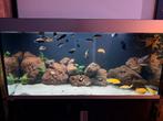 Eheim Incipira 400, Dieren en Toebehoren, Ophalen, Zo goed als nieuw, Leeg aquarium