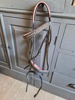Hoofdstel maat cob roze onderlegd, Ophalen of Verzenden, Gebruikt, Dressuur