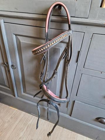 Hoofdstel maat cob roze onderlegd  beschikbaar voor biedingen