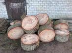 Eikenhout, Tuin en Terras, Haardhout, Minder dan 3 m³, Ophalen, Eikenhout, Stammen