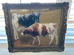 Schilderij koeien met antieke lijst, Antiek en Kunst, Ophalen of Verzenden