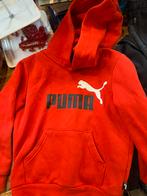 mooie rode puma hoodie, Kleding | Heren, Truien en Vesten, Ophalen of Verzenden, Zo goed als nieuw, Rood