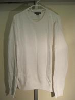 077 - herentrui van Saddlebred maat XL, Verzenden, Wit, Maat 56/58 (XL), Saddlebred
